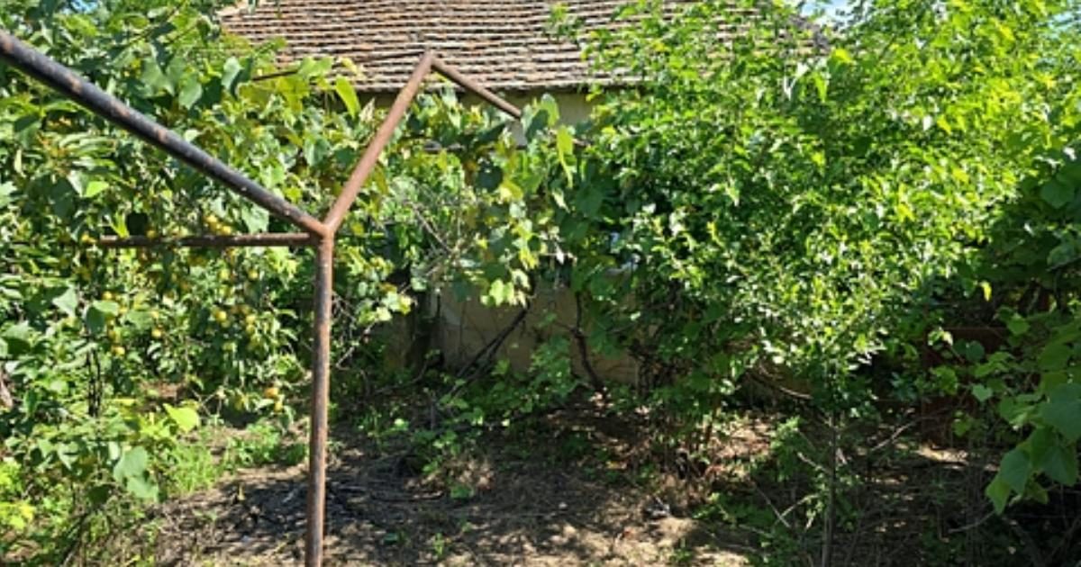 Două case și 1.500 mp de teren, la doar 56.200 de lei! Satul din România unde se vinde proprietatea (Foto: Observator (Antena 1))
