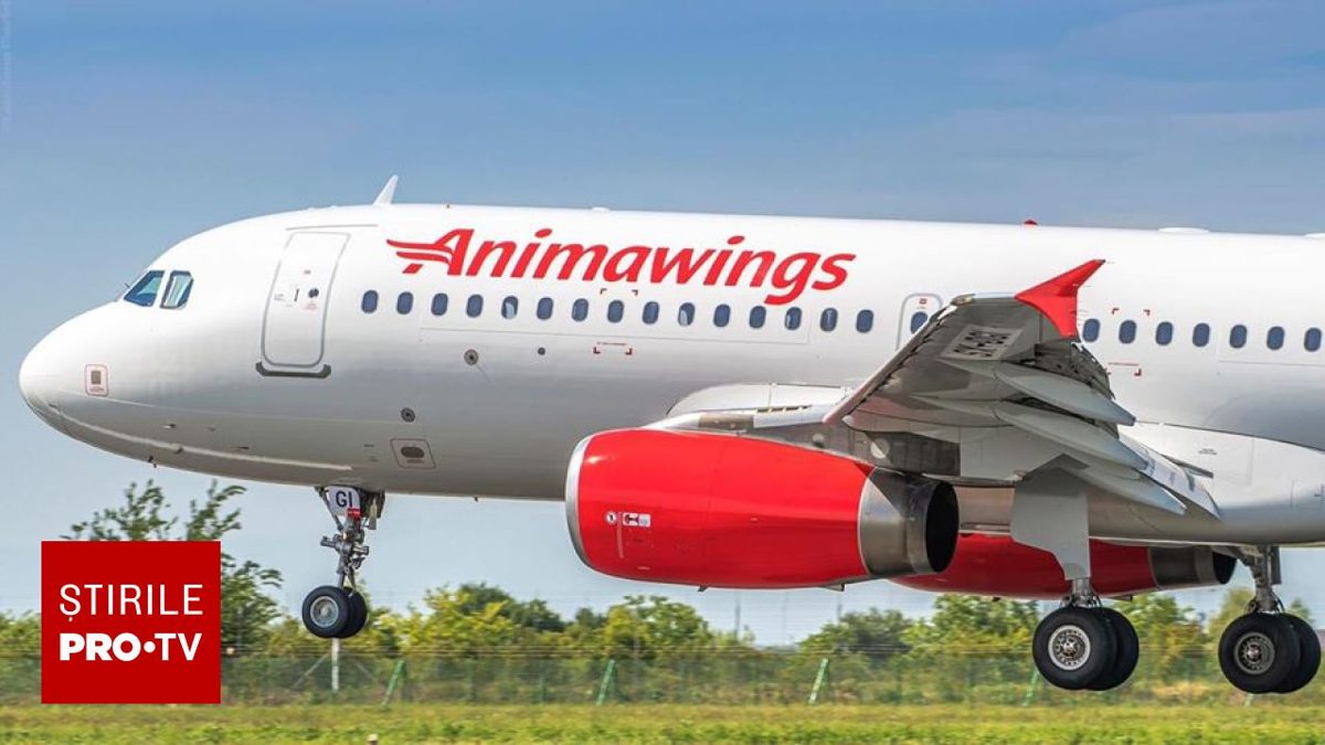 AnimaWings prelungește suspendarea tuturor zborurilor până la 15 noiembrie, după respingerea cererii de insolvență (Foto: Știrile ProTV)