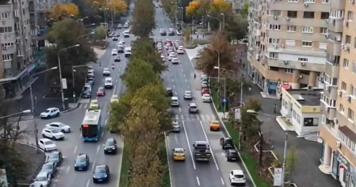 Primăria Capitalei a finalizat plantarea de arbuști și plante perene pe Calea 13 Septembrie (Foto: Observator (Antena 1))