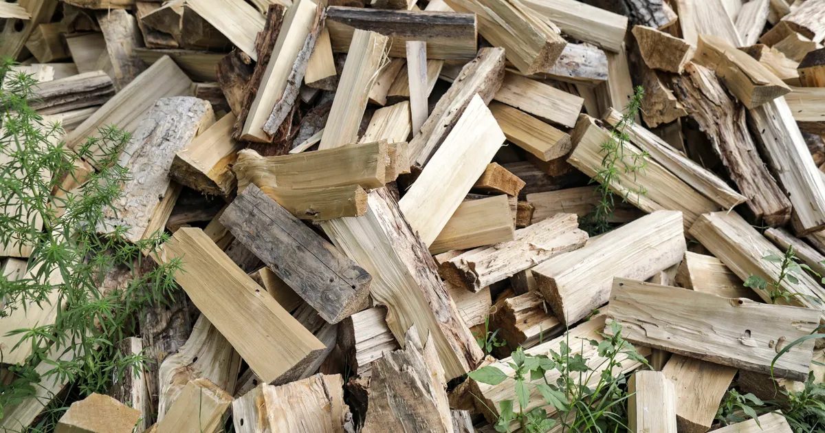 Polițiștii au făcut percheziții la o firmă din Bihor, cu un prejudiciu estimat la peste 300.000 de lei (Foto: Newsweek România)