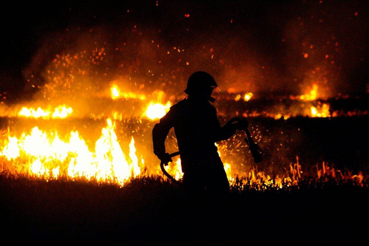 Patru militari canadieni au murit, iar zeci de persoane au fost rănite într-un incendiu în Canada. (Foto: Bursa)