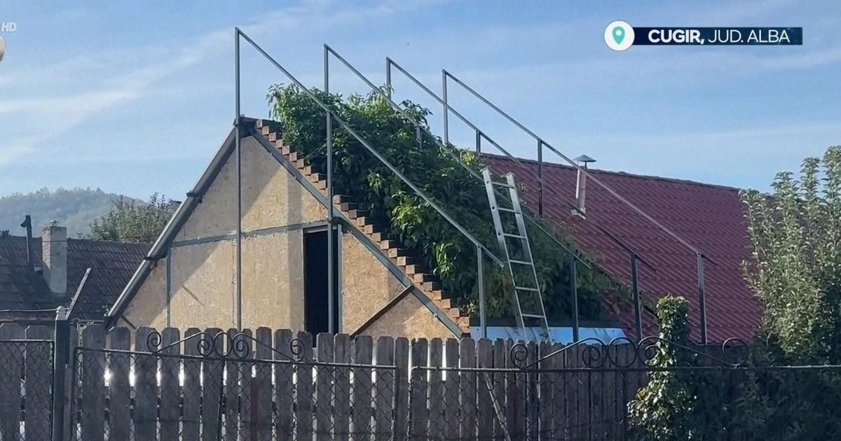 Mihai Oltean a amenajat o grădină verticală pe casa sa din Cugir (Foto: Știrile Kanal D)