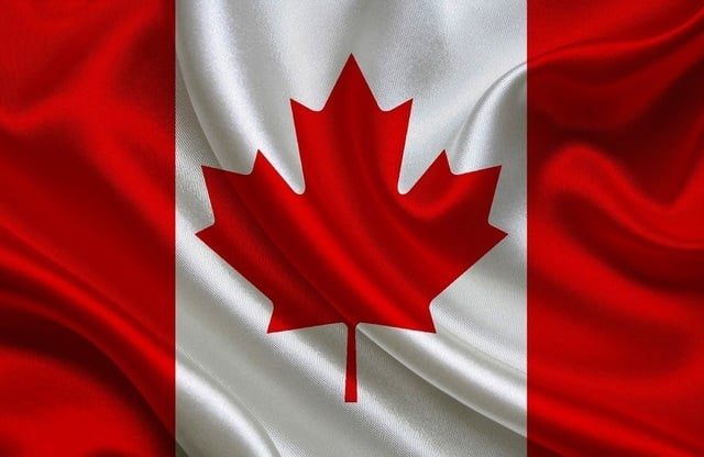 SUA elimină tarifele de 50% pentru o parte dintre produsele importate din Canada (Foto: News.ro)
