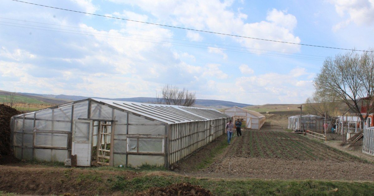 Termenul pentru accesarea finanțării de până la 50.000 de euro pentru ferme mici a fost prelungit. (Foto: Adevărul)